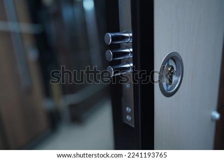 Open the door to the family home. Close up lock. protection. Cylinder key, close-up. Door Lock. Armored door Royalty-Free Stock Photo #2241193765