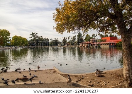 a gorgeous autumn landscape at Lincoln Park with a lake surrounded by autumn colored trees and lush green trees with birds swimming, cars parked, with blue sky and clouds in Los Angeles California USA