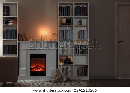 Interior of living room with fireplace, burning candles and bookshelves