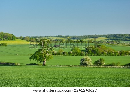 Agricultural fields in the british countryside near Tring, Hertfordshire, Chiltern Hills, UK Royalty-Free Stock Photo #2241248629