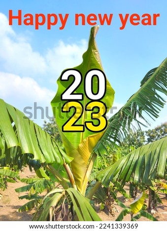 New year natural leaves logo leaf for happy New year 2023 leaves isolated on farming garden background.