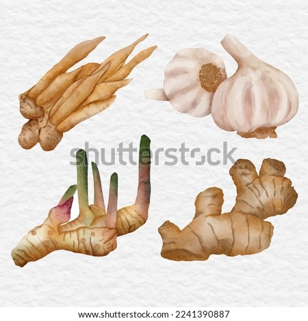 watercolor spice and herb clip art illustration Royalty-Free Stock Photo #2241390887