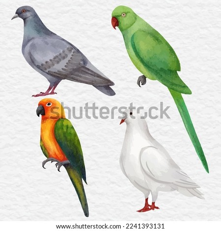 watercolor bird element collection set