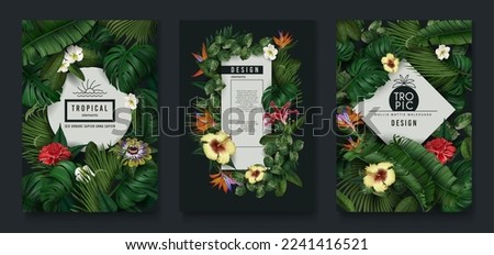 Tropic leaf banner, green jungle plants and exotic flowers. Nature frame with banana and monstera foliage, forest coconut palm, posters with realistic elements. Vector exact flyer design Royalty-Free Stock Photo #2241416521