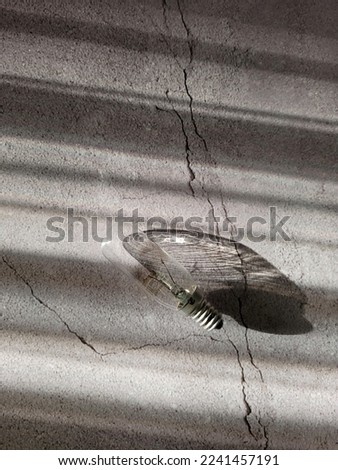  lamp on a gray concrete background with a hard shadow. Creative painting for interior design. The concept of shutdown in the countries of the European Union.