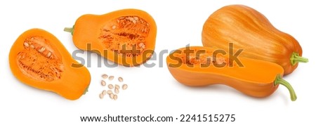 butternut squash half isolated on white background with full depth of field. Top view. Flat lay