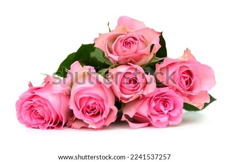 A half of pink rose dozen gift Royalty-Free Stock Photo #2241537257