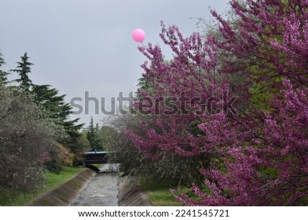 Pink balloon in a cloudy day in Tirana
