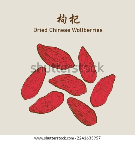 Dried chinese wolfberries, goji, goji berry or lycium chinense. 枸杞. Vector EPS 10 Royalty-Free Stock Photo #2241633957