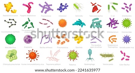 Vector image of various bacteria. Pathogenic bacteria, viruses and microbes. Colored microbes and various types of bacteria. A design element for a website, applications, social networks. Royalty-Free Stock Photo #2241635977