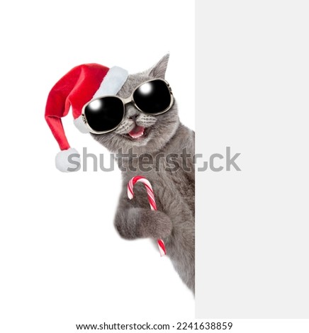 Happy cat wearing red santa hat holds candy cane and looks from behind empty white board. isolated on white background