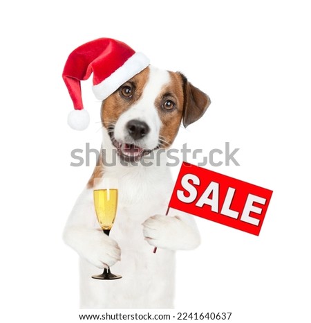 Jack russell terrier puppy wearing santa hat holds glass of champagne and shows signboard with labeled "sale". isolated on white background