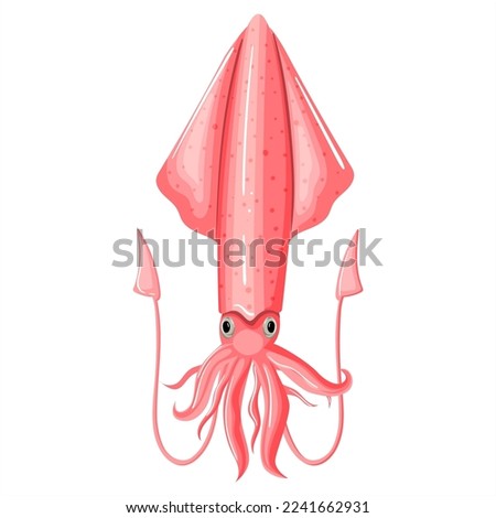 Squid of pink color design flat. Seafood squid with tentacles isolated on white background. Delicacy for gourmet. Wildlife underwater world. Ocean creature sea food image for menu. Vector illustration