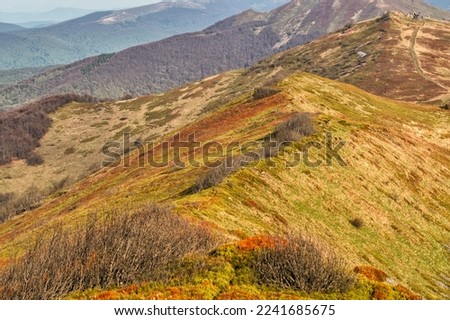 An outstanding landscape photo of the Bieszczady Mountains in Poland. One of the most beautiful Polish parts of the Carpathians.
