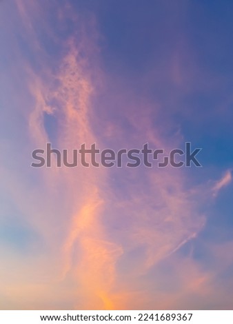Dusk Vertical,Sunset Sky Twilight in the Evening with colorful Sunlight and Dark blue Sky, Majestic summer nice sky vertical.