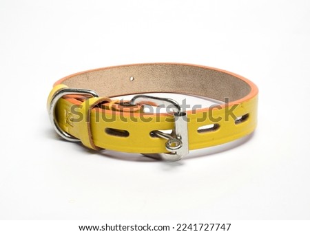 yellow dog collar on white background