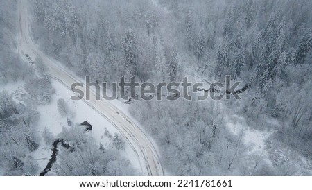 Winter road with bliss, and a forest covered in snow, in severe frost and snowfall in Sigulda, Latvia. Drone photo from above, excellent white frame.