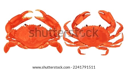 Crab isolated on white background. Vector eps 10. crab vector on sand color background, perfect for wallpaper or design elements Royalty-Free Stock Photo #2241791511