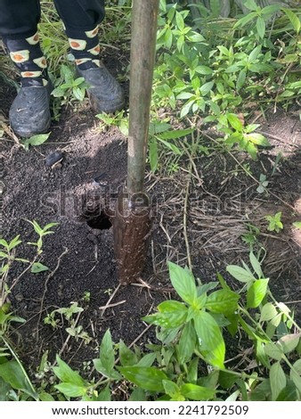 Kinabatangan, Sabah - December 11 2022: Peat Soil Survey