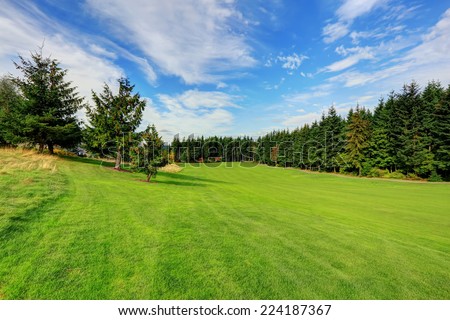 Beautiful landscape in evergreen Washington state. Green field with fir trees and blue sky looming over it