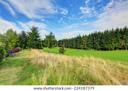Beautiful landscape in evergreen Washington state. Green field with fir trees and blue sky looming over it
