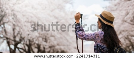 Asian beautiful woman walking and take photo in green grass garden with sakura and cherry blooming tree landscape background.Concept of travel in spring season of japan.