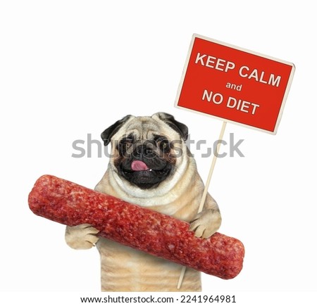 A dog pug holds a poster and a sausage. Keep calm and no diet.  White background. Isolated.