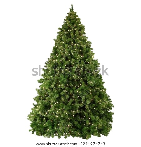 Photo of a Christmas tree. High-resolution photo on a white background.