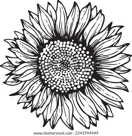 Linear sunflower flower. Hand drawn illustration. This art is perfect for invitation cards, spring and summer decor, greeting cards, posters, scrapbooking, print, etc.