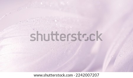 Feather texture in drops of water Royalty-Free Stock Photo #2242007207