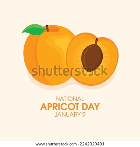 National Apricot Day vector. Apricot cut in half icon vector. Half and whole apricot graphic design element. Fresh apricots fruit drawing. January 9 every year. Important day Royalty-Free Stock Photo #2242020401