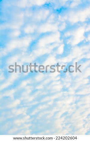 white cloud and blue sky background image .