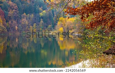 Monticolo lake in Autumn season - (Montiggler Seen )Appiano, Bolzano province, Trentino Alto-Adige, South Tyrol, northern Italy, Europe -