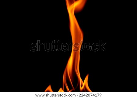 Flames of fire on a black background. Studio photography with flash.