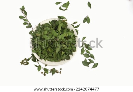 Top View of Henna Tree Fruits or Mignonette Tree Leaves in a White Plate Isolate on White Background, Also Known as Egyptian Privet
