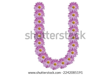 Letter U, spring concept idea. Letter U made with pink flower isolated on white background.