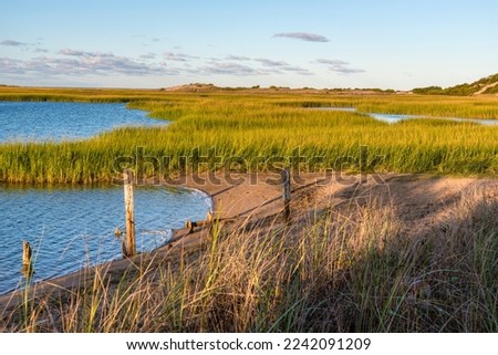 A view of the saltwater marshes with grasslands  in the early morning along the Atlantic Ocean in Provincetown, Cape Cod, Massachusetts.