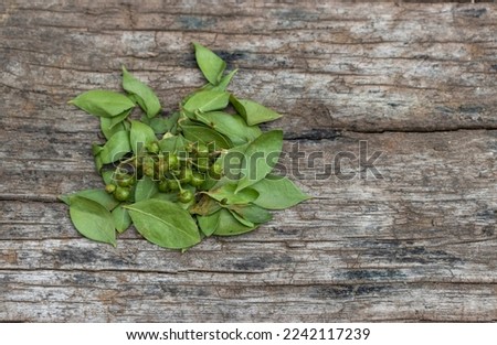 Top View of Mignonette Tree Leaves or Henna Tree Fruits Isolate on Wooden Background with Copy Space, Also Known as Egyptian Privet