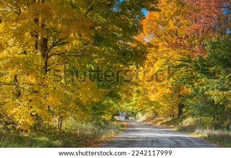 Colorful fall scene with brilliant foliage of a rural road in Manchester, Vermont.