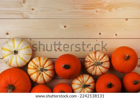 Many pumpkin top border over a rustic white wood background