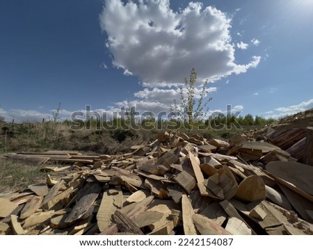 A pile of lumber for burning in the furnace. Harvesting firewood for winter for heating. High quality photo