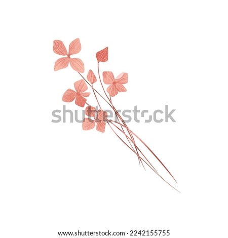 Watercolor dried flowers of pink color. Dry pink autumn flowers