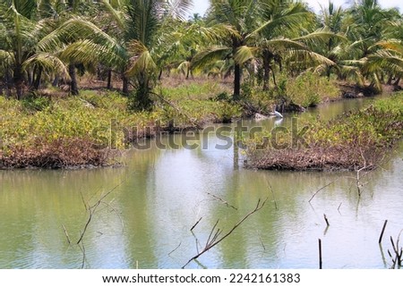 Green Landscape with river in summer stock photo