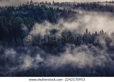 Forest covered with clouds in Bohemian Switzerland (Czech Switzerland) in Elbe Sandstone Mountains, Czech Republic Royalty-Free Stock Photo #2242170953