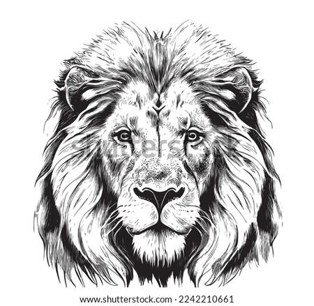 Lion portrait lion head sketch hand drawn engraving style Wild animals Vector illustration Royalty-Free Stock Photo #2242210661