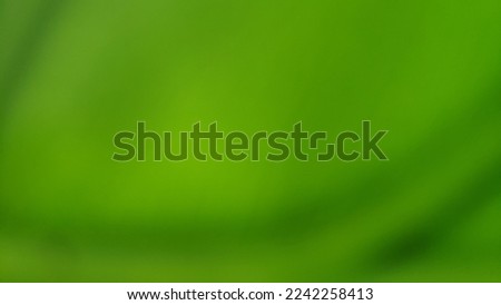 Green leaf Blur Texture Background.