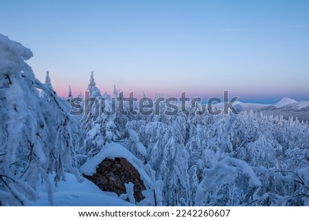 Winter forest and mountains covered in snow at after sunset. Belt of venus on a cold evening