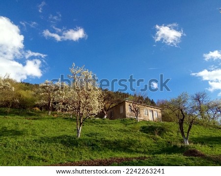 Beautiful fresh green yard in the Spring and rural house in the village with blue sky in Organic Farming Barbale, Georgia, Caucasus