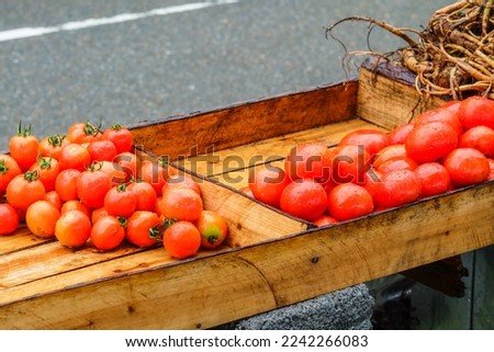 Outdoor wet small and large tomatoes in a rectangular wooden box close up after rain