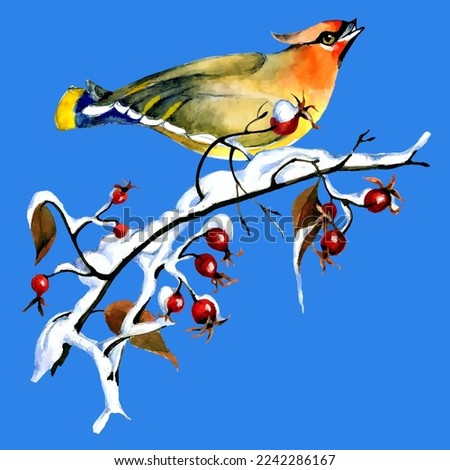 Birds on snow-covered branches. Can be used as a postcard, cover background, or for a web message. Vector illustration in a watercolor style.